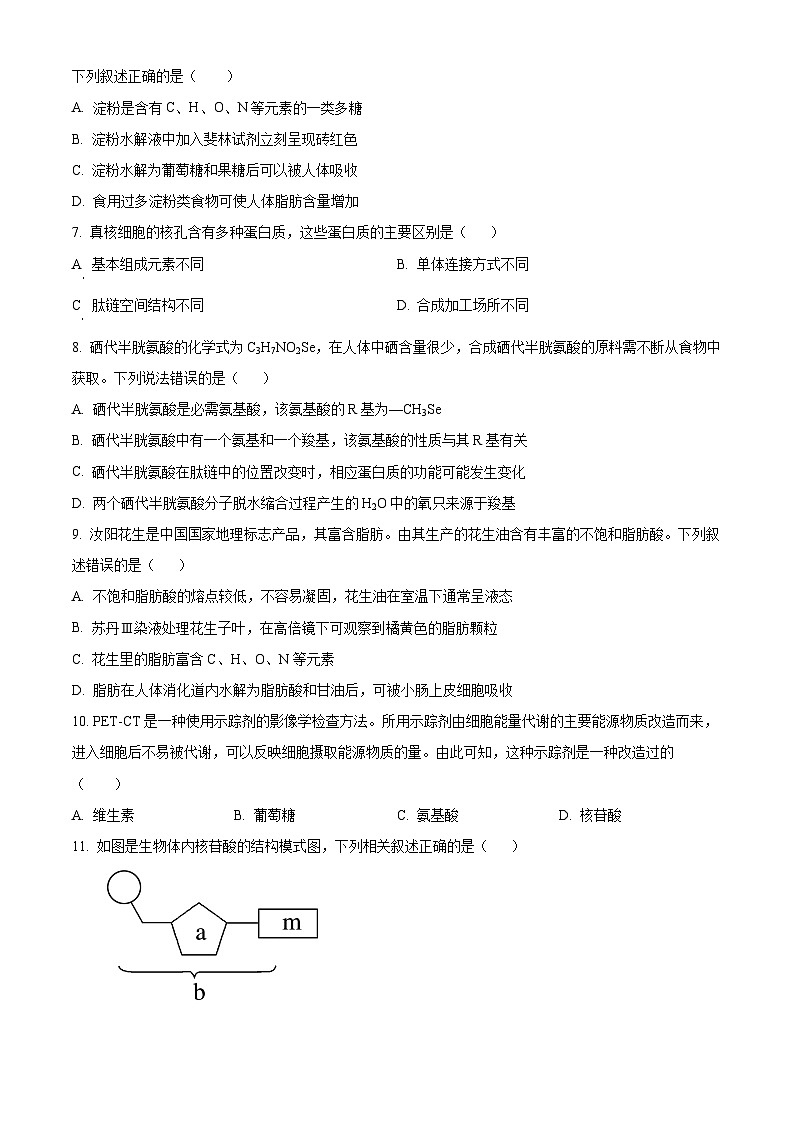 河南省实验中学2025-2026学年高一上学期期中考试生物试题（原卷版）第2页