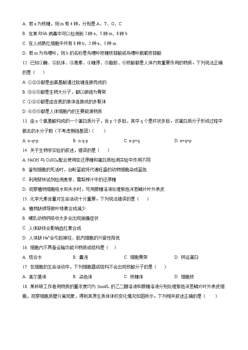 河南省实验中学2025-2026学年高一上学期期中考试生物试题（原卷版）第3页