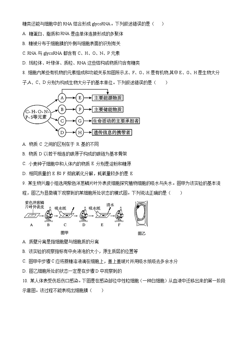 精品解析：湖南省汉寿县第一中学2025-2026学年高一上学期11月月考生物试题（原卷版）第3页