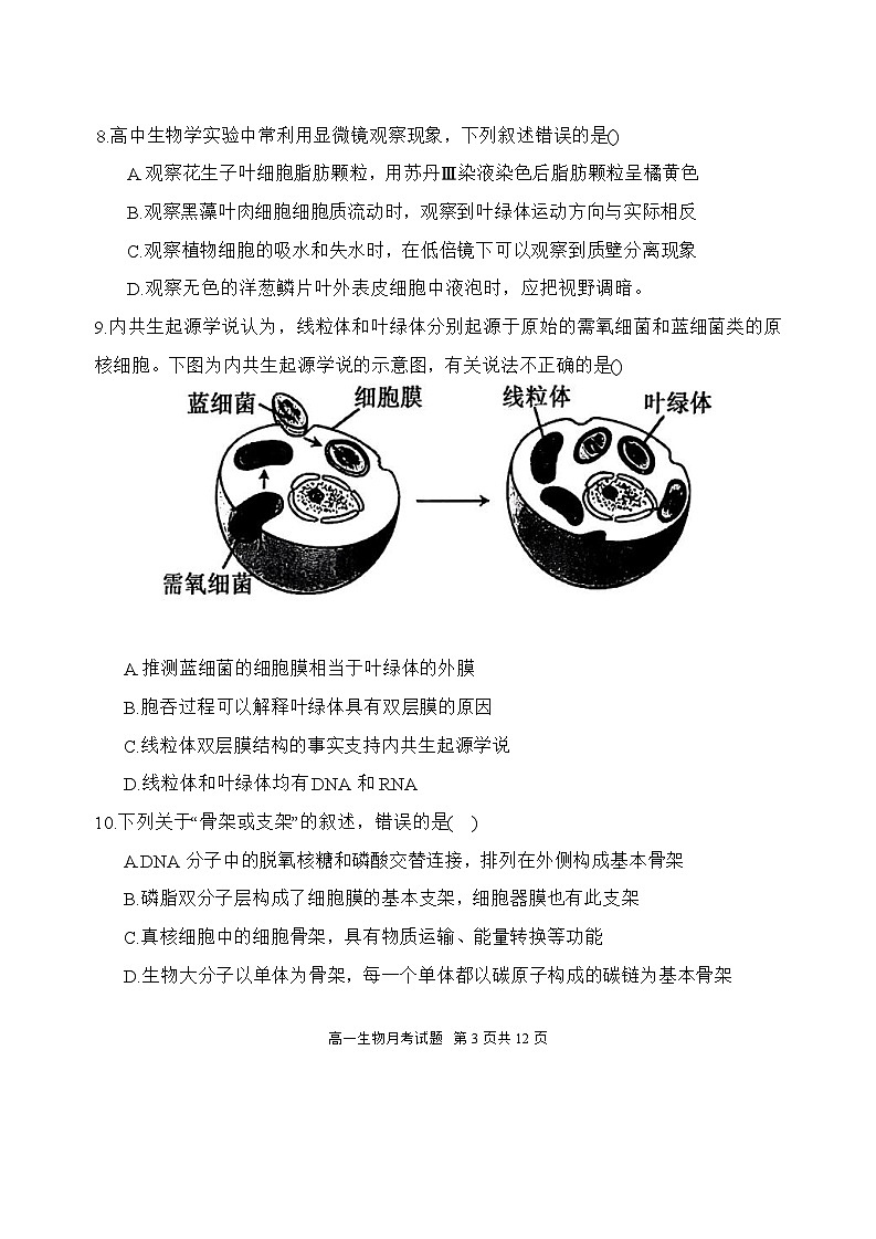 内蒙古赤峰第四中学2025-2026学年高一上学期12月期中生物试题第3页