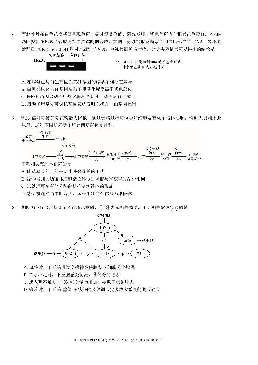 北京市第二中学2024-2025学年高三上学期12月月考生物试卷第2页