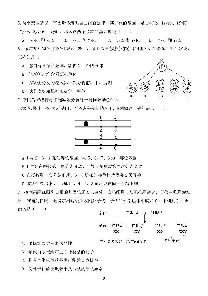 北京工业大学附属中学2024-2025学年高一下学期期中测试生物试题第2页