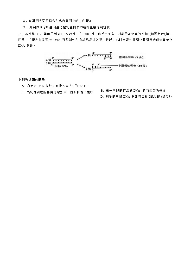2025-2026学年高三毕业班第三次月考生物试题第3页