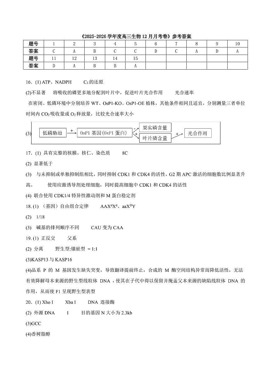 漳州三中2025-2026学年高三毕业班第三次月考生物参考答案第1页