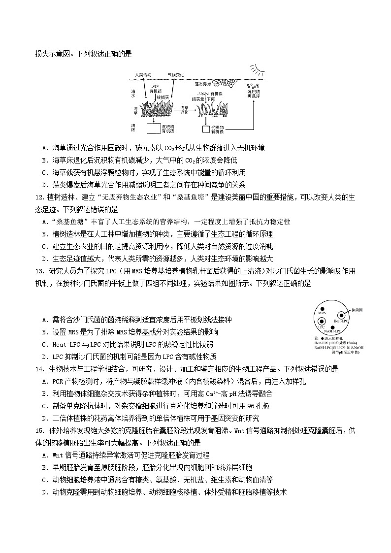 江苏省南京市七校联合体2025-2026学年高三上学期12月联合考试生物试卷（Word版含答案）第3页
