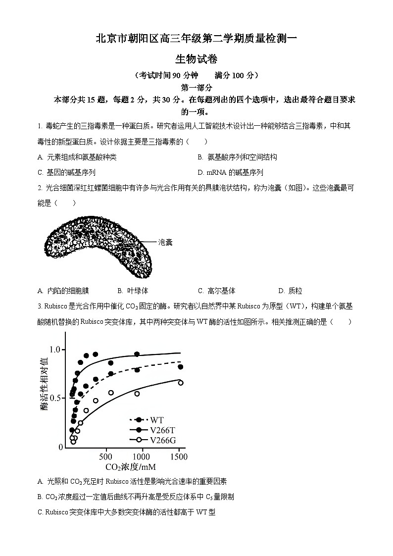 2025届北京市朝阳区高三下学期3月质量检测一生物试题（原卷版）-A4第1页