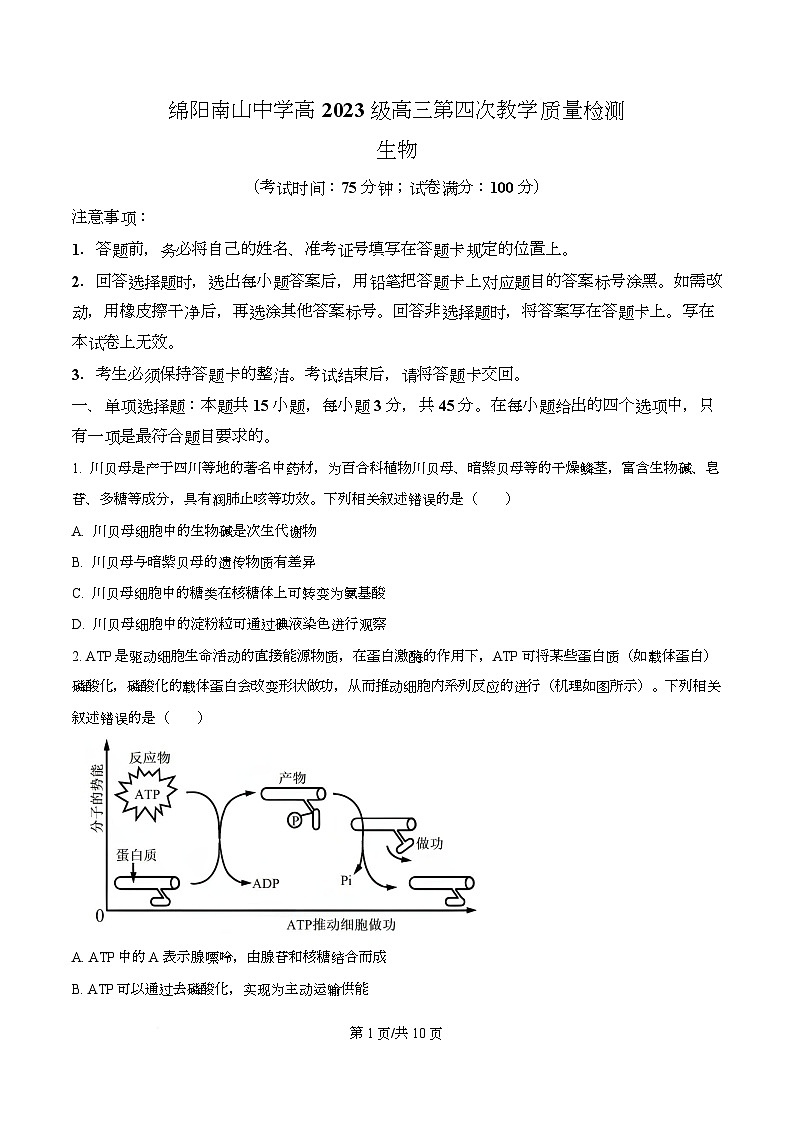 四川省绵阳市涪城区四川省绵阳南山中学2026届高三上学期11月月考生物试题（原卷版）第1页