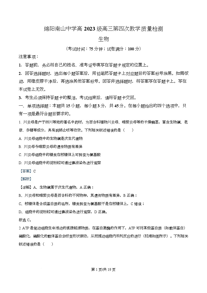 四川省绵阳市涪城区四川省绵阳南山中学2026届高三上学期11月月考生物试题 Word版含解析第1页