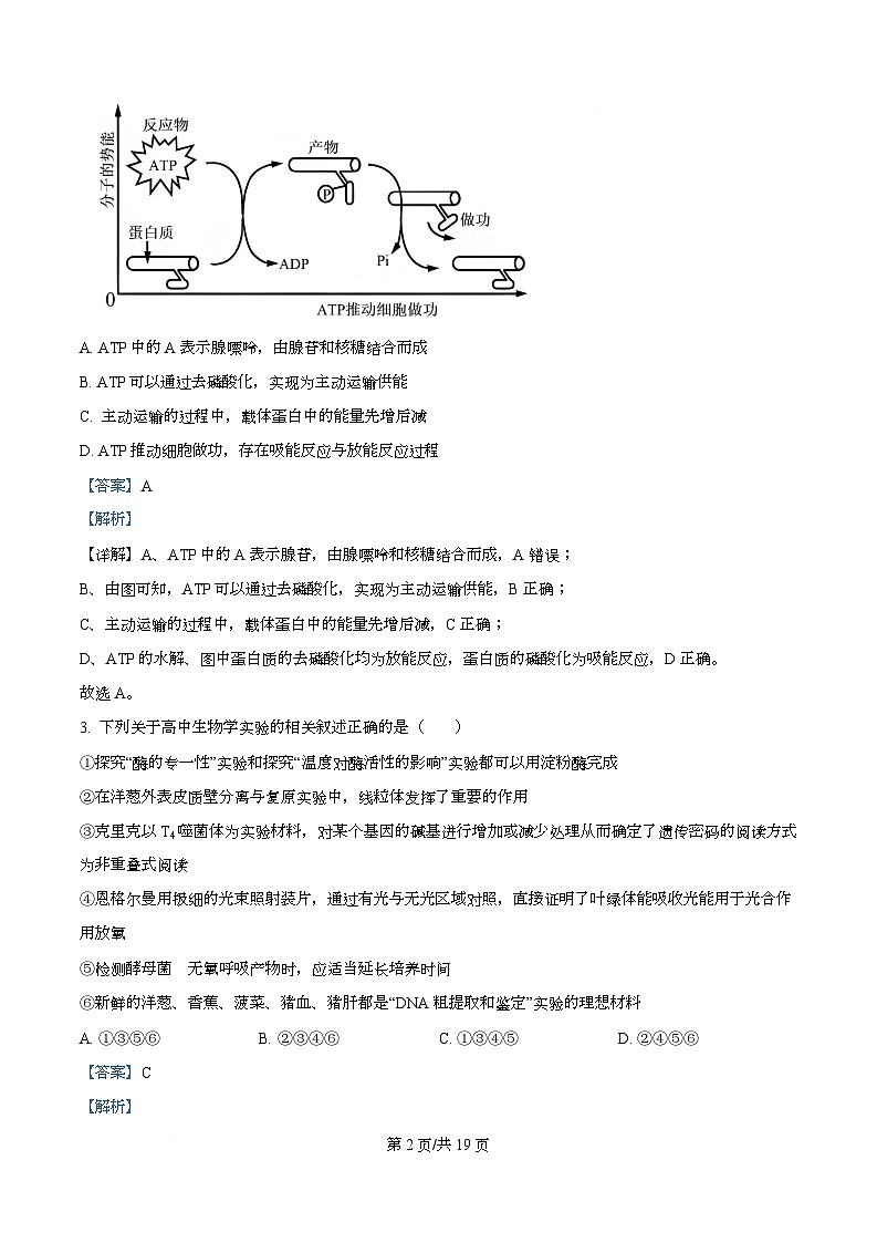 四川省绵阳市涪城区四川省绵阳南山中学2026届高三上学期11月月考生物试题 Word版含解析第2页