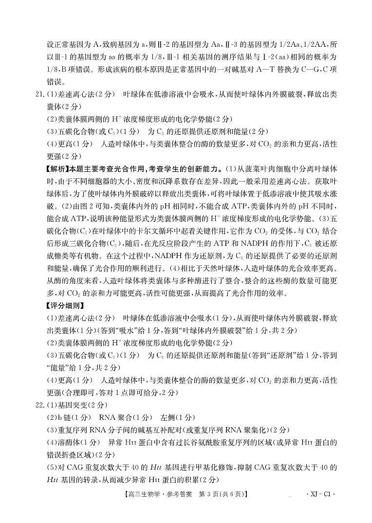 新疆多校2026届高三上学期11月联考（XJ）生物答案第3页