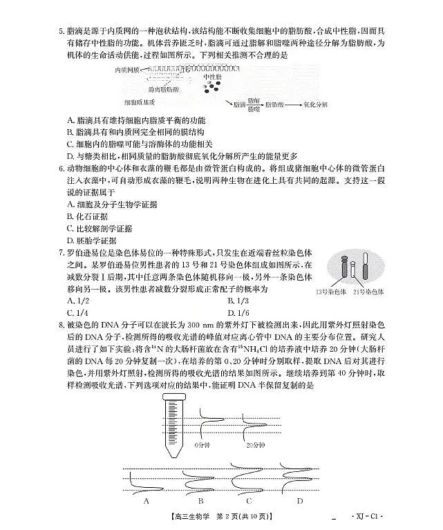 新疆多校2026届高三上学期11月联考（XJ）生物第2页