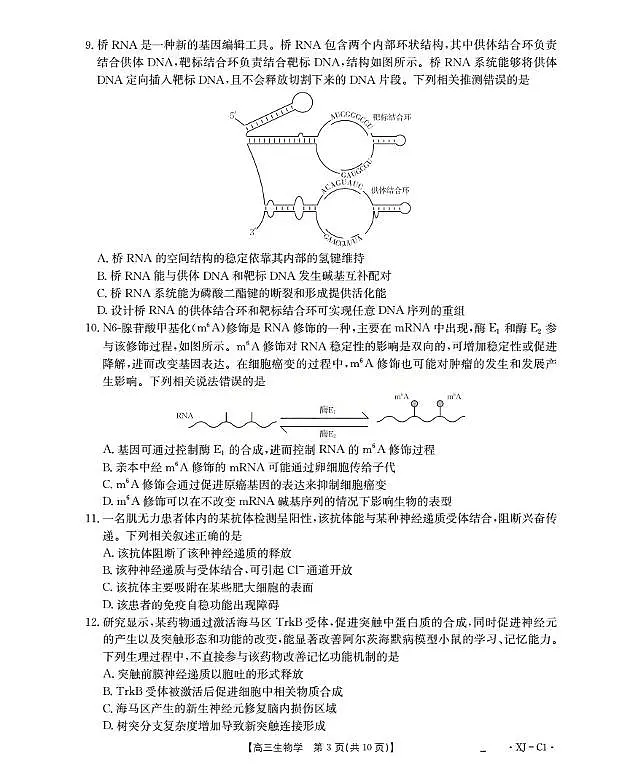 新疆多校2026届高三上学期11月联考（XJ）生物第3页
