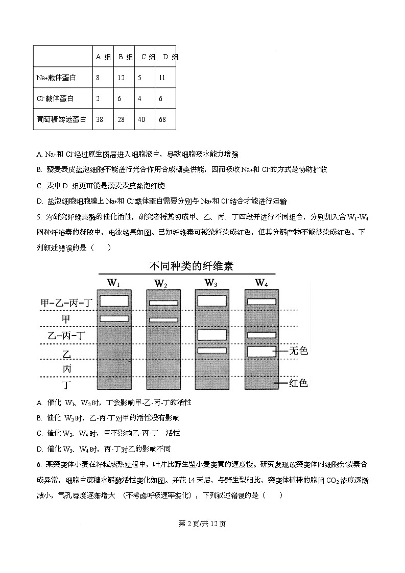 重庆市巴蜀中学2026届高三上学期11月期中生物试题（原卷版）第2页