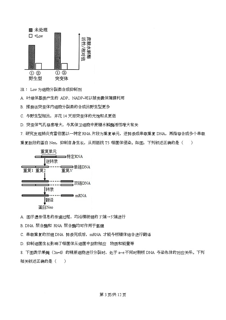 重庆市巴蜀中学2026届高三上学期11月期中生物试题（原卷版）第3页