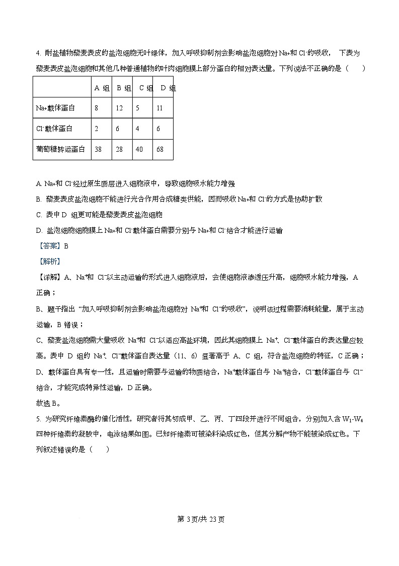 重庆市巴蜀中学2026届高三上学期11月期中生物试题 Word版含解析第3页