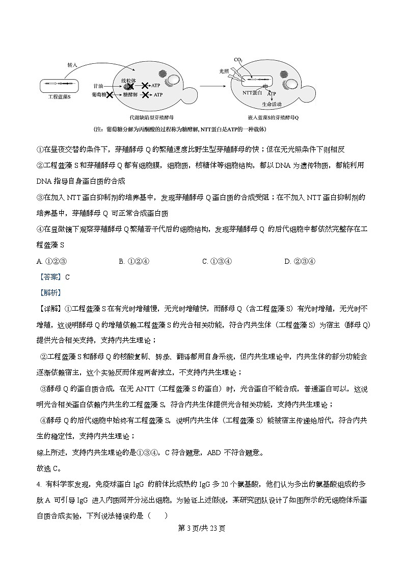 重庆市重庆市沙坪坝区重庆市第一中学2026届高三上学期11月期中生物试题 Word版含解析第3页