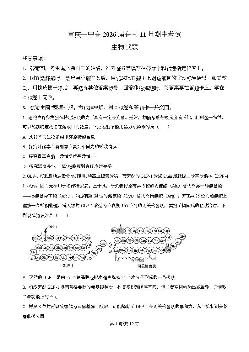 重庆市重庆市沙坪坝区重庆市第一中学2026届高三上学期11月期中生物试题（原卷版）第1页