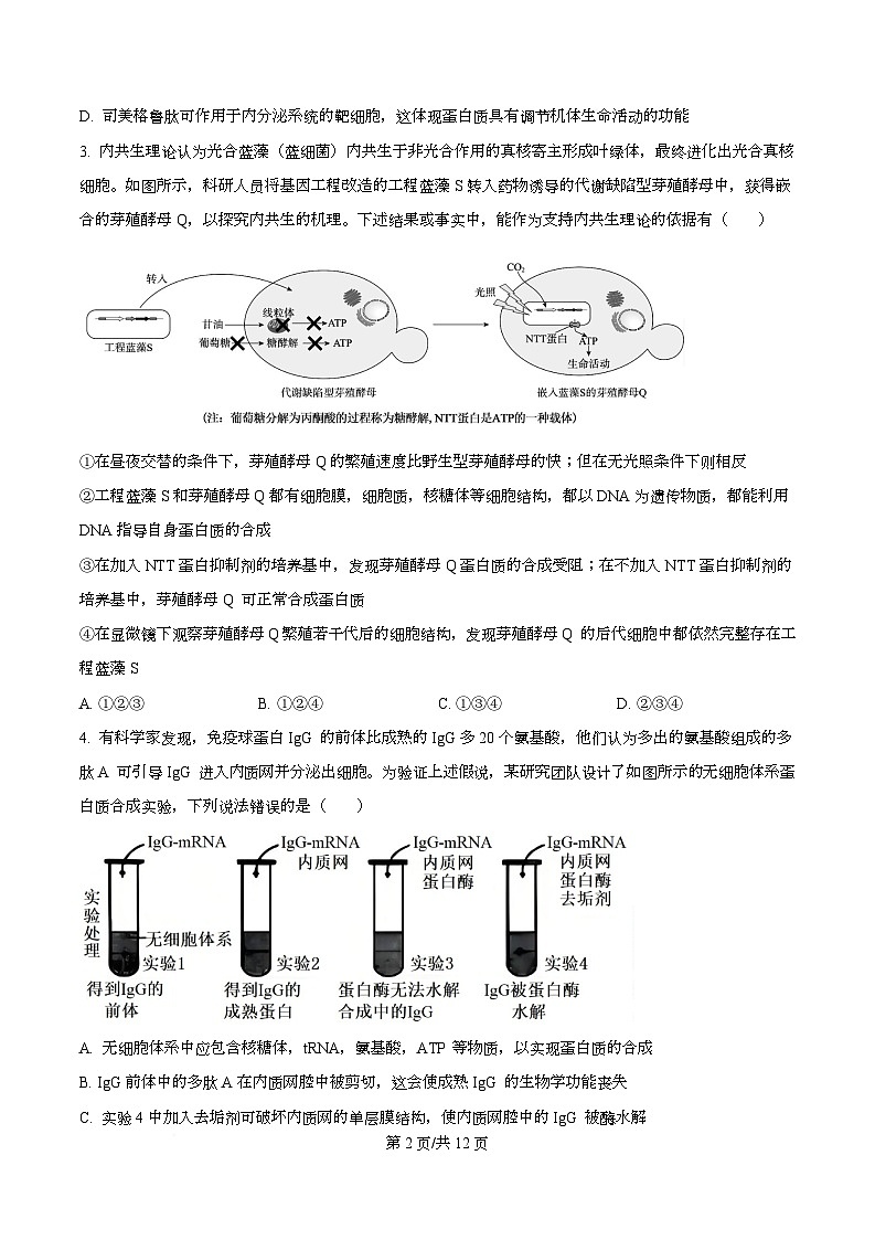 重庆市重庆市沙坪坝区重庆市第一中学2026届高三上学期11月期中生物试题（原卷版）第2页