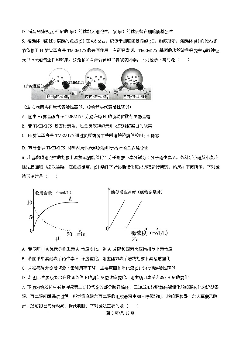 重庆市重庆市沙坪坝区重庆市第一中学2026届高三上学期11月期中生物试题（原卷版）第3页