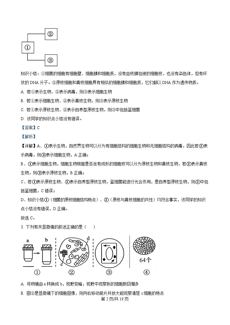 重庆市名校联盟2025-2026学年高一上学期11月期中生物试题 Word版含解析第2页