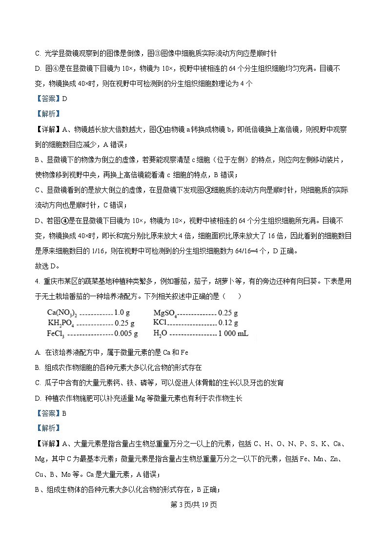 重庆市名校联盟2025-2026学年高一上学期11月期中生物试题 Word版含解析第3页