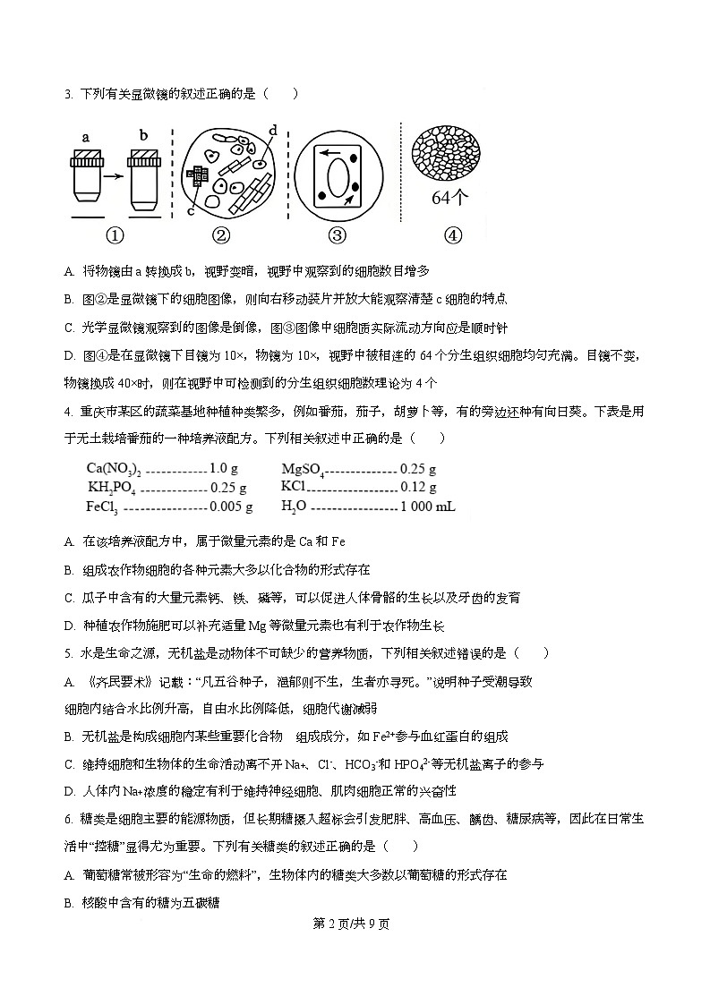 重庆市名校联盟2025-2026学年高一上学期11月期中生物试题（原卷版）第2页