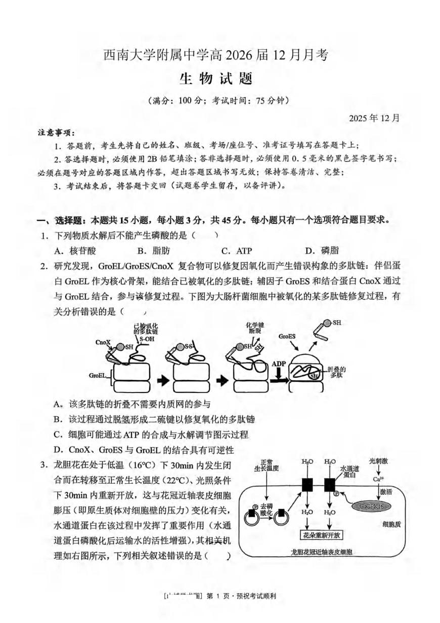 重庆市北碚区西南大学附属中学校2025-2026学年高三上学期12月月考生物试题（PDF版，无答案）第1页