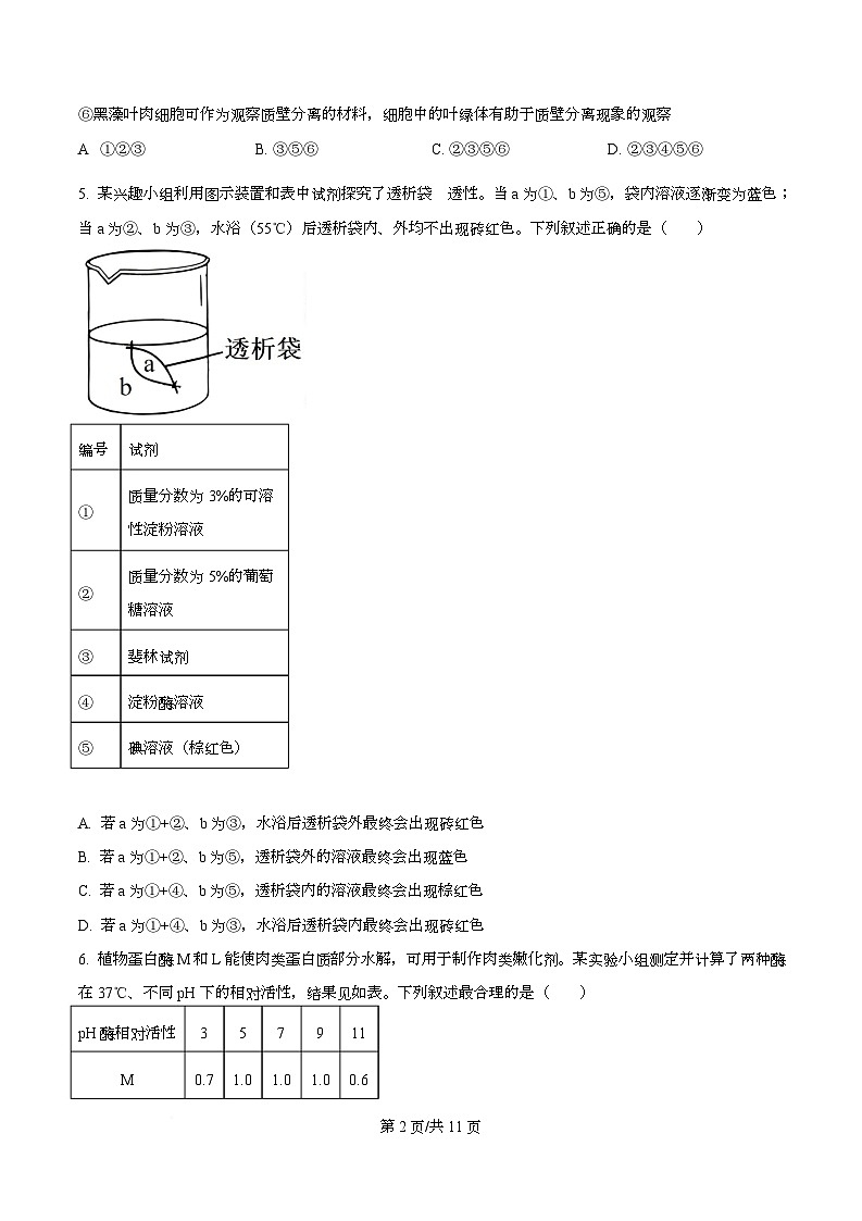 2026届四川省仁寿第一中学（北校区）高三上学期一模生物试题（原卷版）第2页