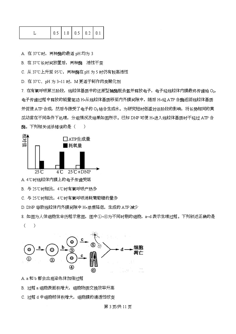 2026届四川省仁寿第一中学（北校区）高三上学期一模生物试题（原卷版）第3页