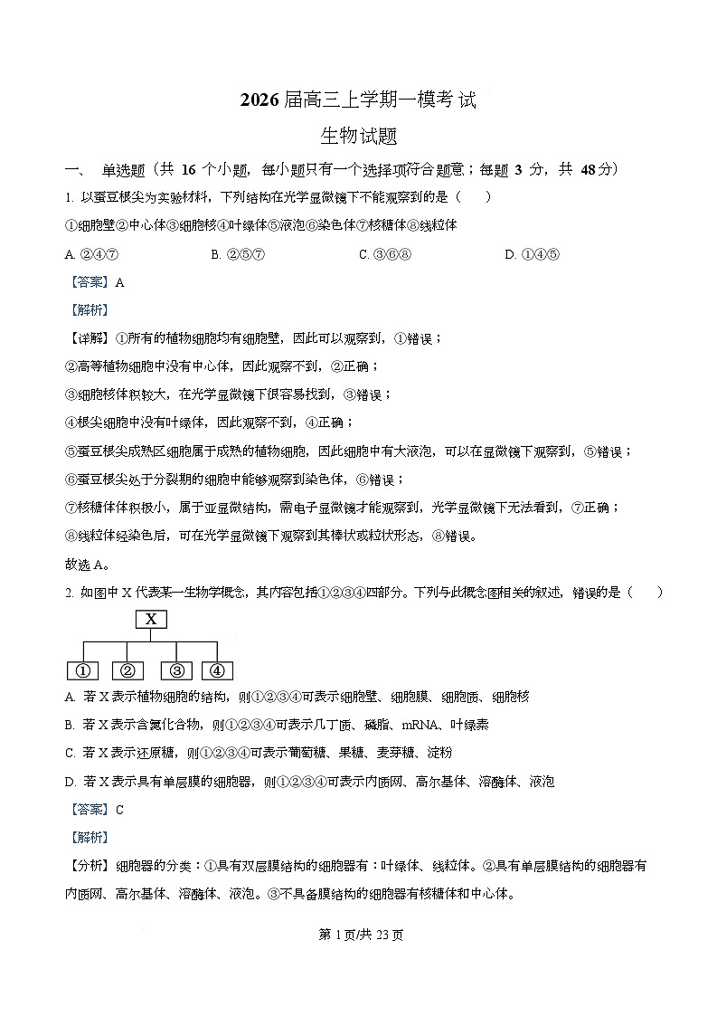 2026届四川省仁寿第一中学（北校区）高三上学期一模生物试题 Word版含解析第1页