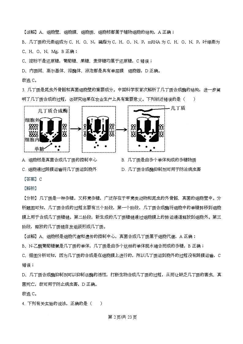 2026届四川省仁寿第一中学（北校区）高三上学期一模生物试题 Word版含解析第2页