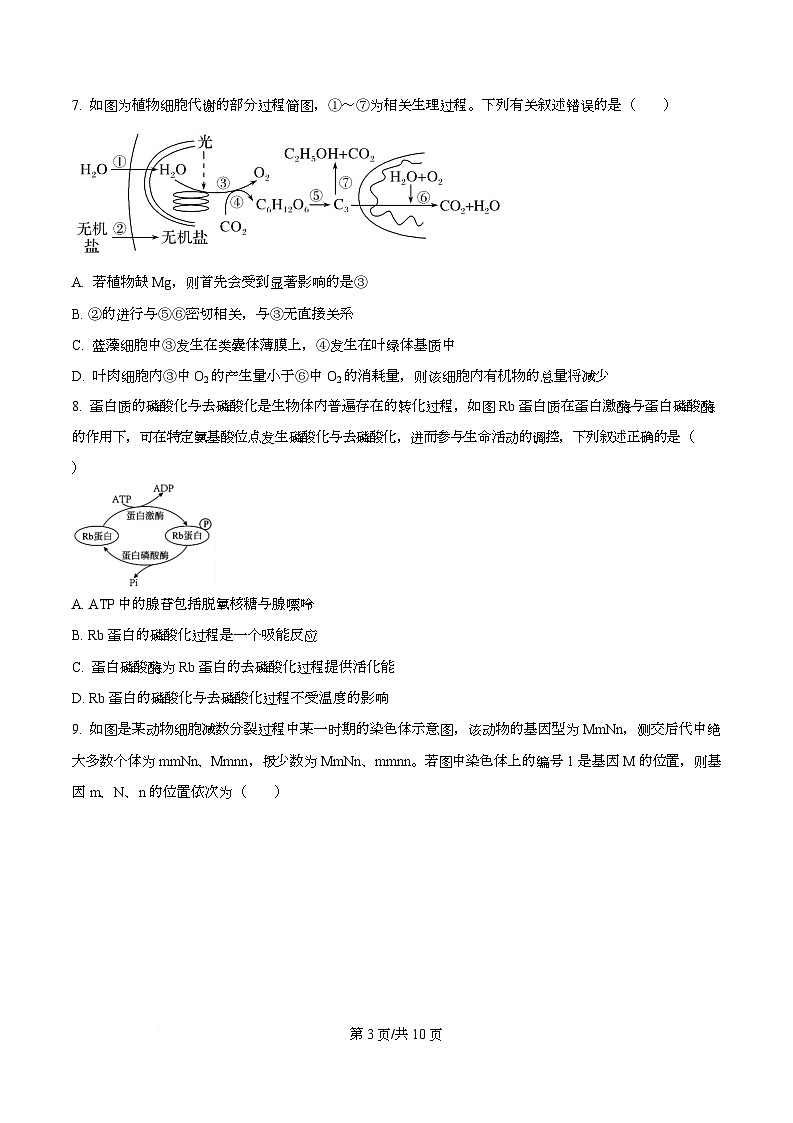 2026届四川省眉山中学高三上学期一模生物试题（原卷版）第3页