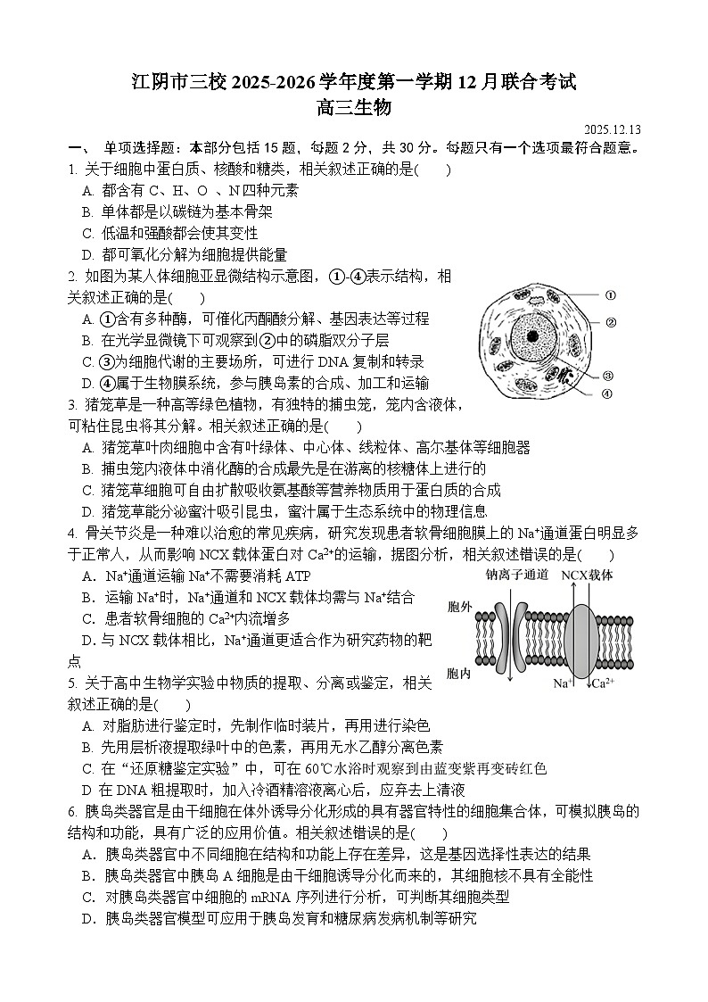 江苏省无锡市江阴市三校联考2025-2026学年高三上学期12月月考生物试题第1页