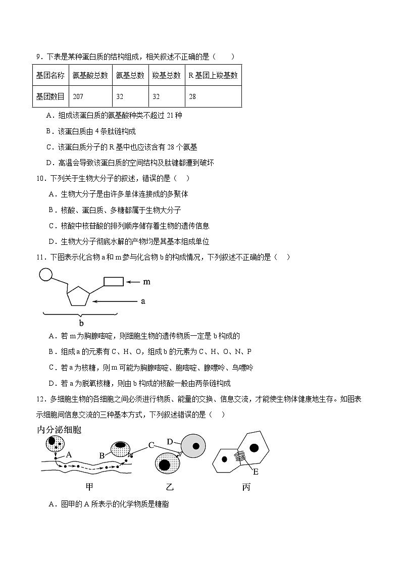 辽宁省辽西重点高中2025-2026学年高一上学期期中考试生物试卷（含答案）第3页