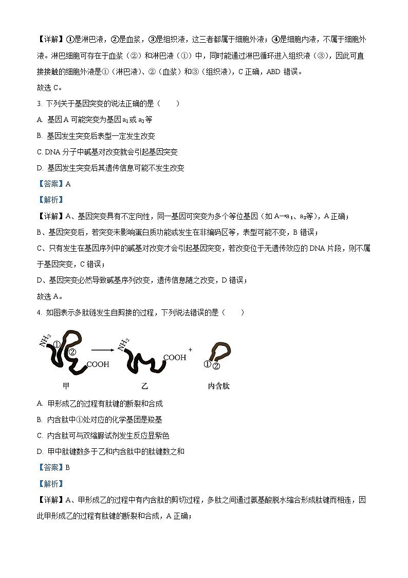 浙江省丽水发展共同体2025-2026学年高二上学期11月期中生物试卷（含答案）第2页