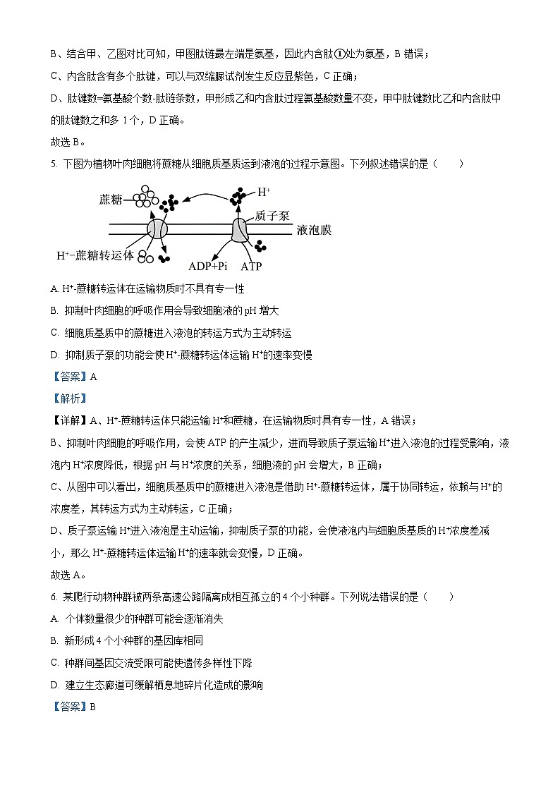浙江省丽水发展共同体2025-2026学年高二上学期11月期中生物试卷（含答案）第3页