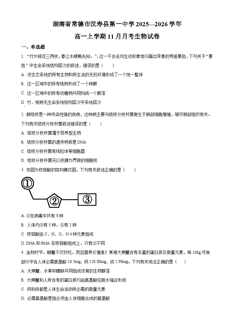 湖南省常德市汉寿县第一中学2025-2026学年高一上学期11月期中生物试题（原卷版）第1页