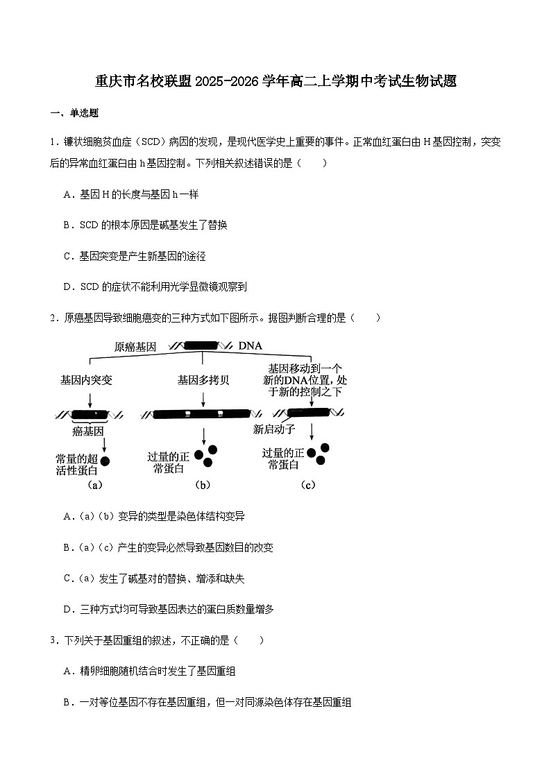 重庆市名校联盟2025-2026学年高二上学期第一次联合考试（11月期中）生物试卷（含答案）第1页