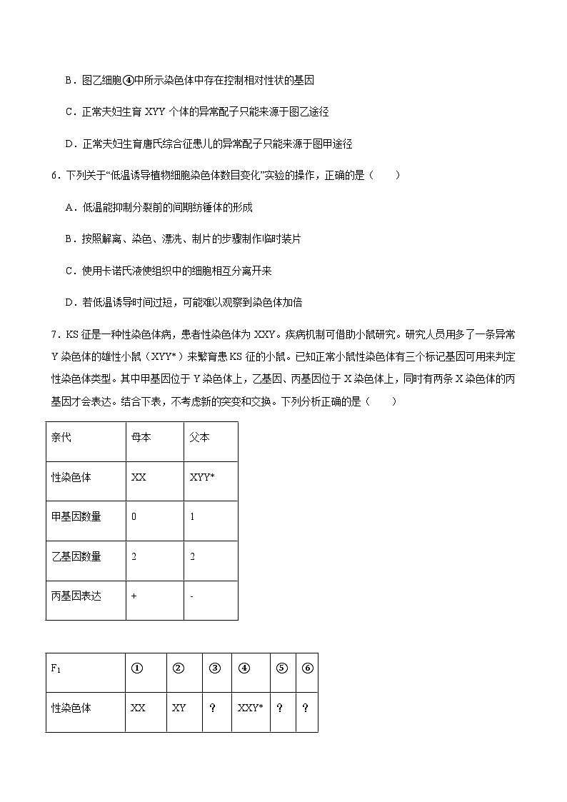 重庆市名校联盟2025-2026学年高二上学期第一次联合考试（11月期中）生物试卷（含答案）第3页