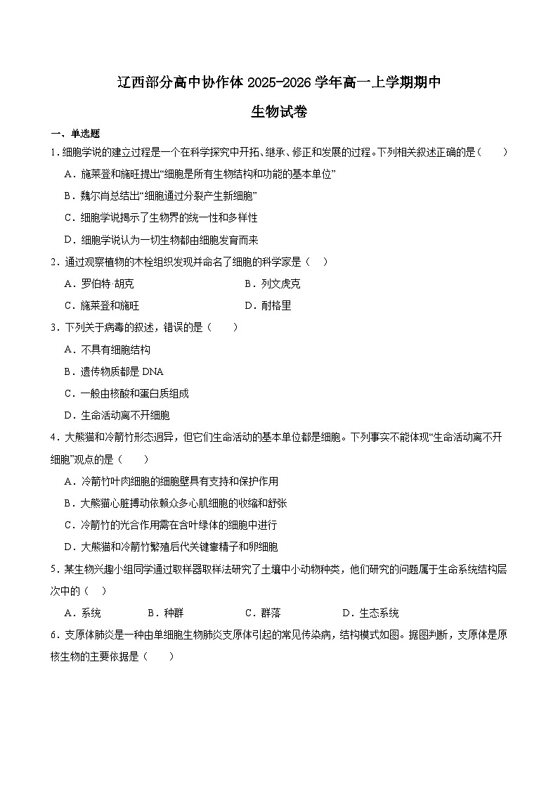 辽宁省辽西部分高中协作体2025-2026学年高一上学期期中考试生物试卷（Word版附答案）第1页