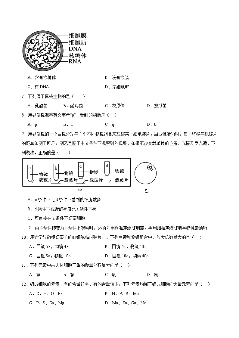 辽宁省辽西部分高中协作体2025-2026学年高一上学期期中考试生物试卷（Word版附答案）第2页