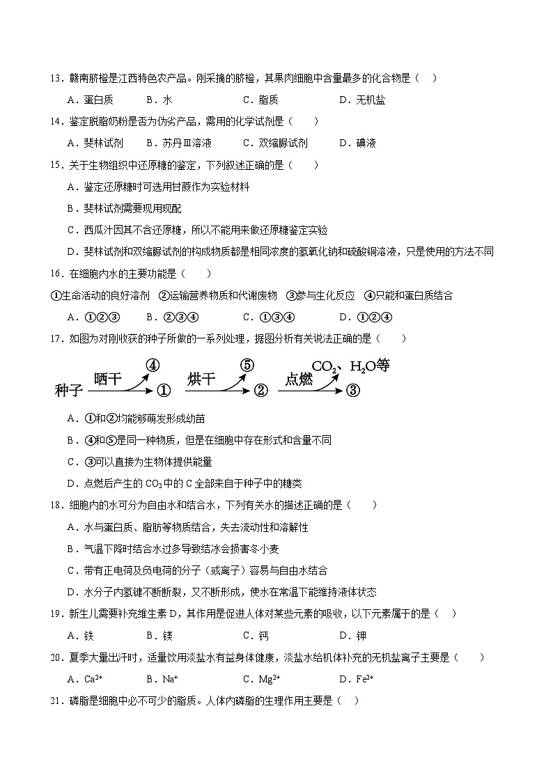 辽宁省辽西部分高中协作体2025-2026学年高一上学期期中考试生物试卷（Word版附答案）第3页