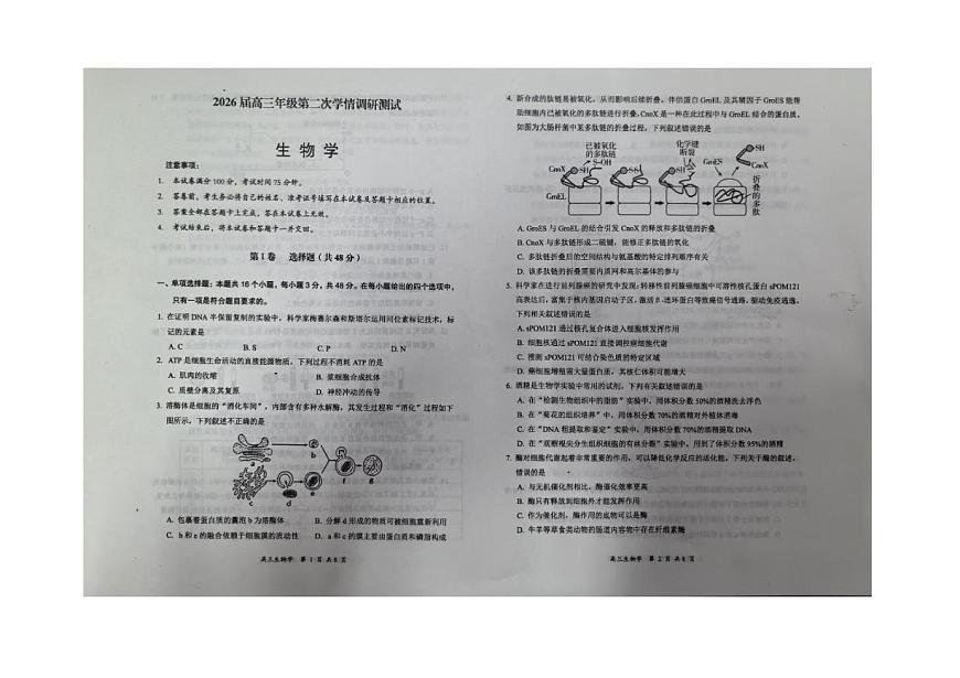 山西省大同市2026届高三上学期第二次学情调研期中生物试卷（含答案）第1页
