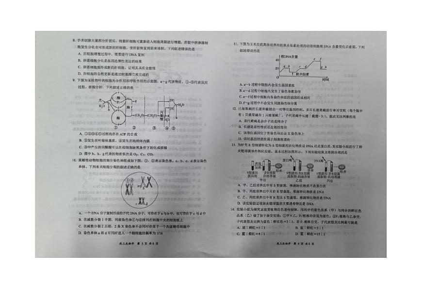 山西省大同市2026届高三上学期第二次学情调研期中生物试卷（含答案）第2页