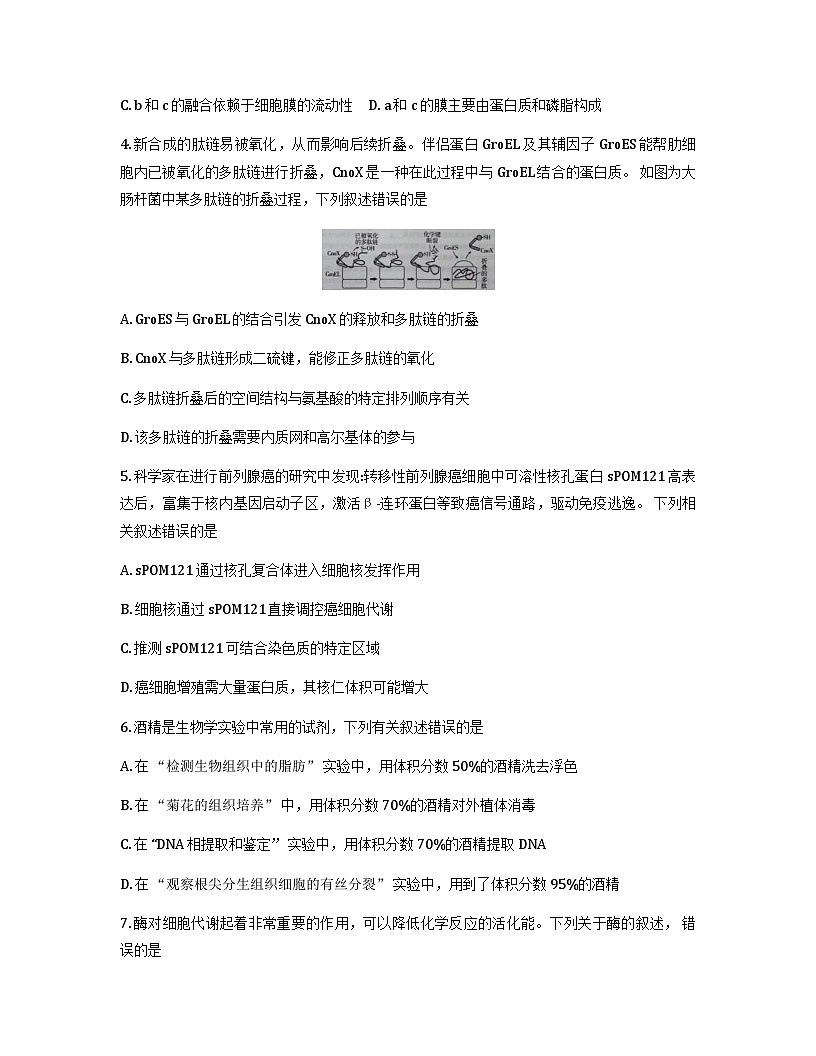 山西省大同市2026届高三上学期第二次学情调研期中生物试卷（含答案）第2页