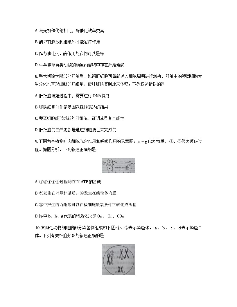 山西省大同市2026届高三上学期第二次学情调研期中生物试卷（含答案）第3页