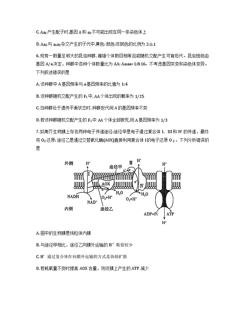 山西省太原市2025-2026学年高三上学期期中考试生物试卷（Word版附答案）第3页