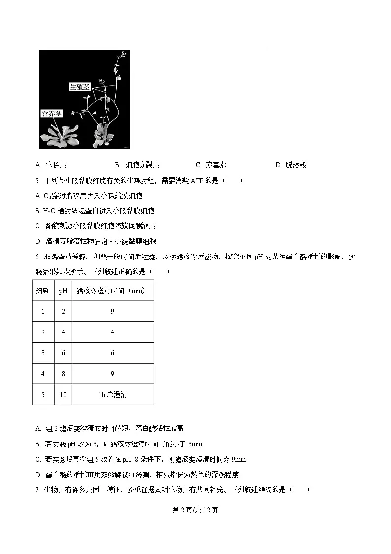 2026届浙江省县域教研联盟高三一模生物试题（原卷版）第2页