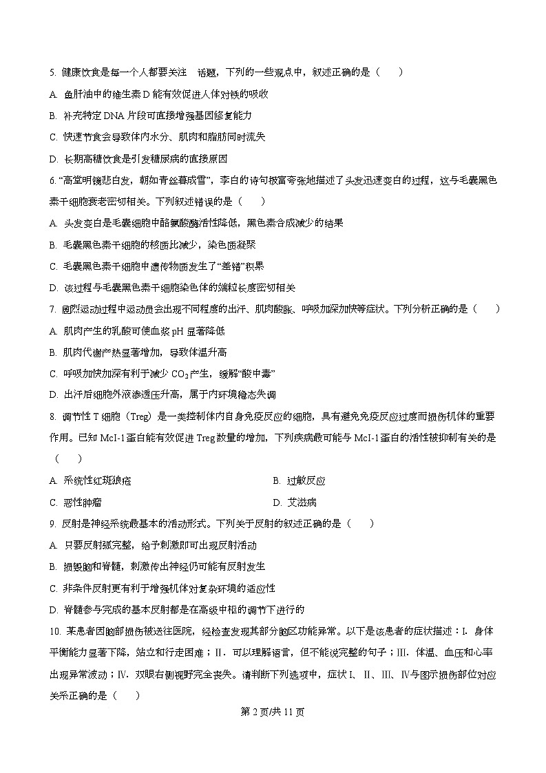 浙江省台金七校2025-2026学年高二上学期11月期中生物试题（原卷版）第2页