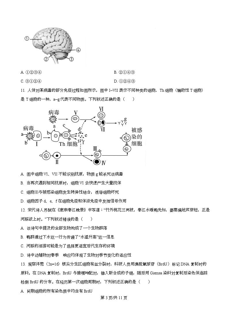 浙江省台金七校2025-2026学年高二上学期11月期中生物试题（原卷版）第3页